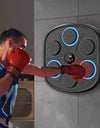 Music Boxing Target Training Wall Target Fitness Equipment