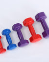 Color fitness dumbbells