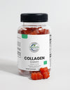 Collagen Gummies (Adult)