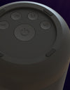 Bluetooth audio