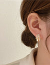 Double Circle Shell Delicate Earrings