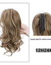 High Cranium Can Tie Ponytail Hairpin Back Head Shark Clip Ponytail Braid