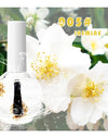 Nail Beauty Dried Flowers Nutrition Nail Treatment Oil Anti-agnail Nail Edge Moisturizing Nail Base Coat Natural Dried Flower Nutrient Solution