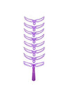 Eyebrow Card Drawing Eyebrow Beauty Tool